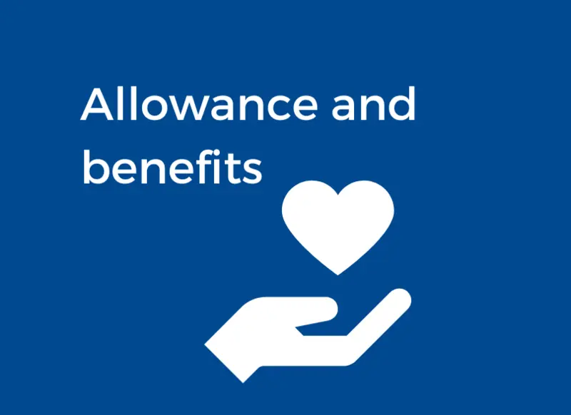 Bsf Allowances And Benefits