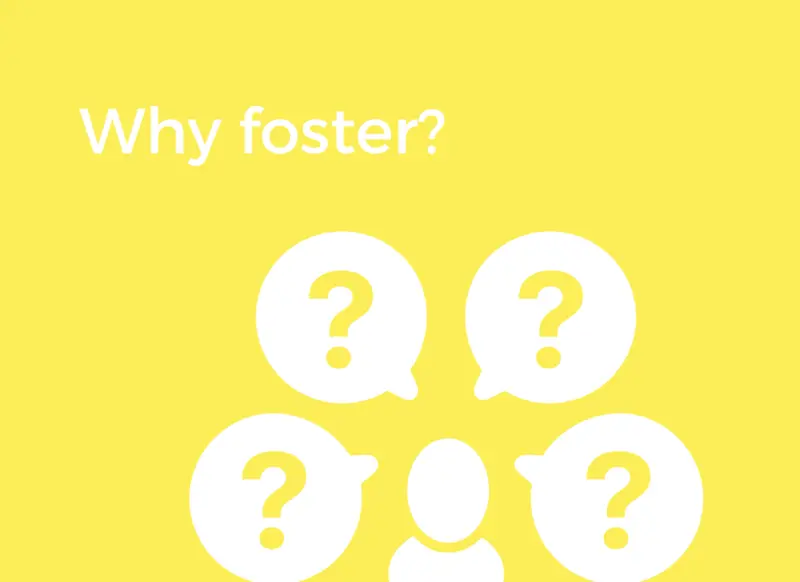 Bsf Why Foster (1)