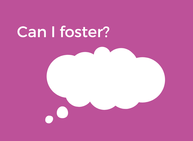 Can I foster? Fostering image
