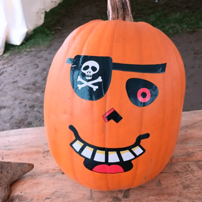 Pirate Pumpkin - blue sky fostering pumpkin picking 2024 sussex and surrey