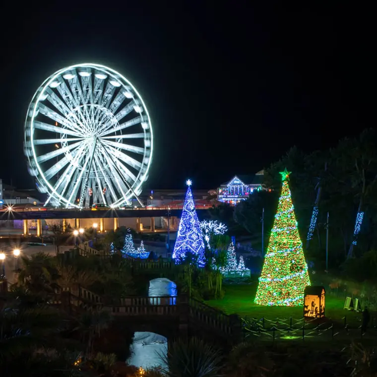 Bournemouth Christmas Tree Wonderland Christmas events in Dorset Blue Sky Fostering