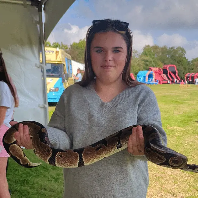 Blue Sky Fostering Family Fun Day 2024 - Young person with snake