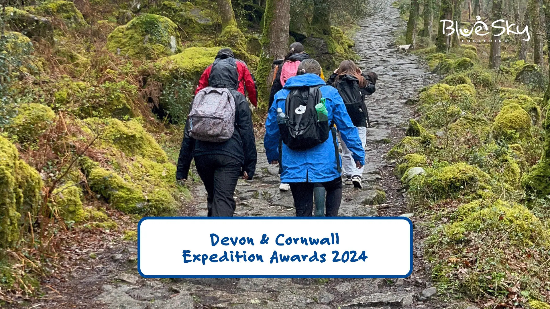DC Awards Youtube Image