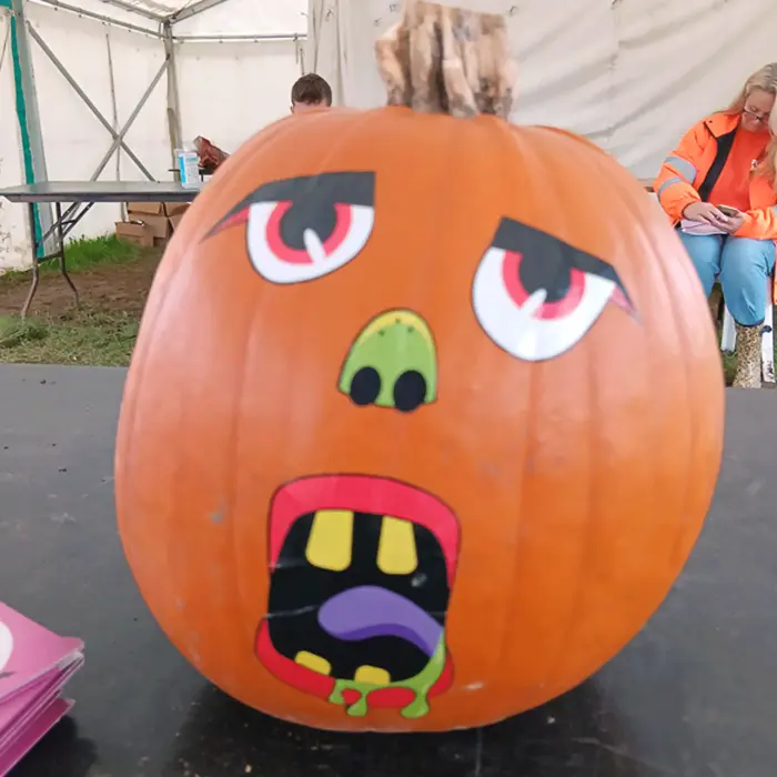 Surprised pumpkin - blue sky fostering pumpkin picking 2024 sussex and surrey